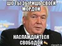 ШО ты зыришь своей мордой Наслаждайтеся свободой