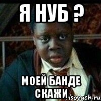 Я нуб ? Моей банде скажи