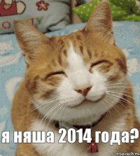 я няша 2014 года?