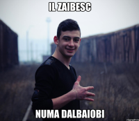 Il zaibesc numa dalbaiobi
