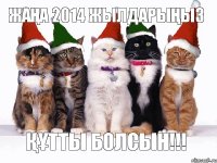 ЖАҢА 2014 ЖЫЛДАРЫҢЫЗ ҚҰТТЫ БОЛСЫН!!!