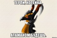 Терпи, Котейка.. Атаманом будешь.