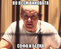 во всем виновата софа и белка