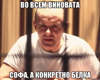 во всем виновата софа, а конкретно белка