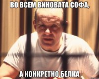 во всем виновата софа, а конкретно белка