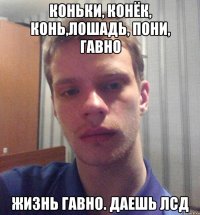 коньки, конёк, конь,лошадь, пони, гавно жизнь гавно. даешь ЛСД