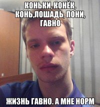 коньки, конёк, конь,лошадь, пони, гавно жизнь гавно. а мне норм