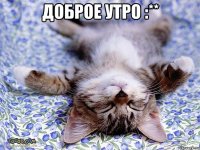 Доброе утро :** 