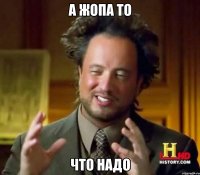 а жопа то что надо