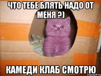 Что тебе блять надо от меня ?) камеди клаб смотрю