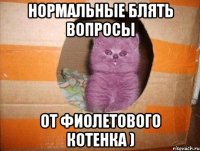 Нормальные блять вопросы от фиолетового котенка )