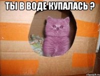 Ты в воде купалась ? 