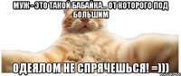 Муж - это такой бабайка... от которого под большим одеялом не спрячешься! =)))