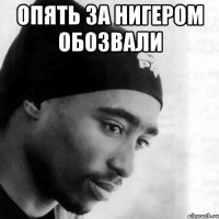 Опять за Нигером обозвали 