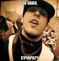 ЧО КАВО, СУЧАРА?1