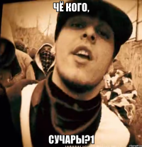 Чё кого, СУЧАРЫ?1