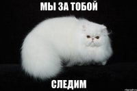 мы за тобой следим