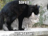 sen uje altimdasan!!
