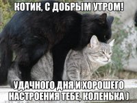 Котик, с добрым утром! Удачного дня и хорошего настроения тебе, Коленька )