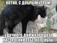 Котик, с добрым утром! Удачного дня и хорошего настроения тебе, Коленька!