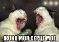  жоно моя серце мое