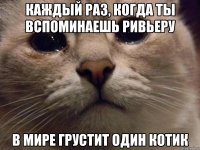 Каждый раз, когда ты вспоминаешь Ривьеру В мире грустит один котик
