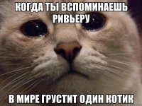 когда ты вспоминаешь Ривьеру В мире грустит один котик