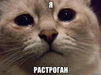 Я Растроган