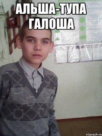 Альша-тупа галоша 