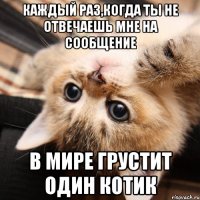 каждый раз,когда ты не отвечаешь мне на сообщение в мире грустит один котик