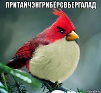 притайчэнгрибёрсвбергалад 