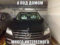 А под домом Много интересного