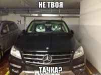 Не твоя Тачка?