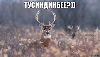 тусиндинбее?)) 