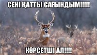 СЕНІ ҚАТТЫ САҒЫНДЫМ!!!!! КӨРСЕТШІ АЛ!!!!