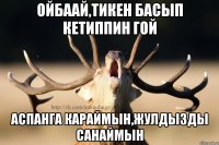 ойбаай,тикен басып кетиппин гой аспанга караймын,жулдызды санаймын