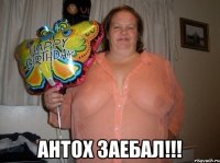  Антох заебал!!!