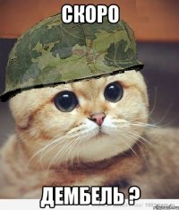 скоро дембель ?