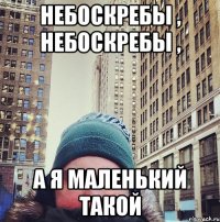 небоскребы , небоскребы , а я маленький такой