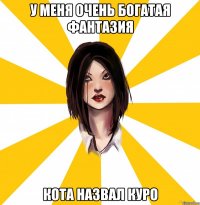 У МЕНЯ ОЧЕНЬ БОГАТАЯ ФАНТАЗИЯ КОТА НАЗВАЛ КУРО