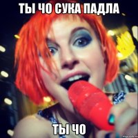 ты чо сука падла ты чо
