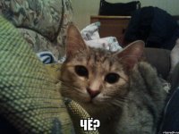  ЧЁ?