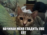  Начинай меня гладить уже ёпт
