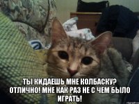  Ты кидаешь мне колбаску? Отлично! Мне как раз не с чем было играть!