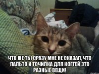  Что же ты сразу мне не сказал, что пальто и точилка для когтей это разные вещи!