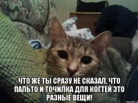  Что же ты сразу не сказал, что пальто и точилка для когтей это разные вещи!