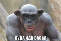  суда иди васья