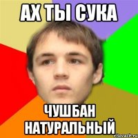 ах ты сука чушбан натуральный