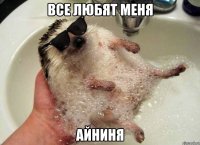 Все любят меня Айниня