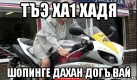 Тъэ ха1 Хадя Шопинге дахан догъ вай